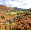 Sunnyfell