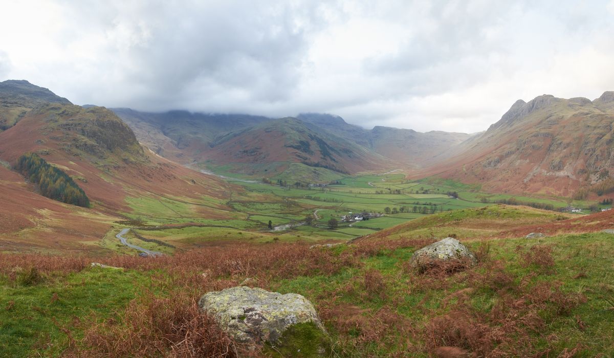 Sunnyfell