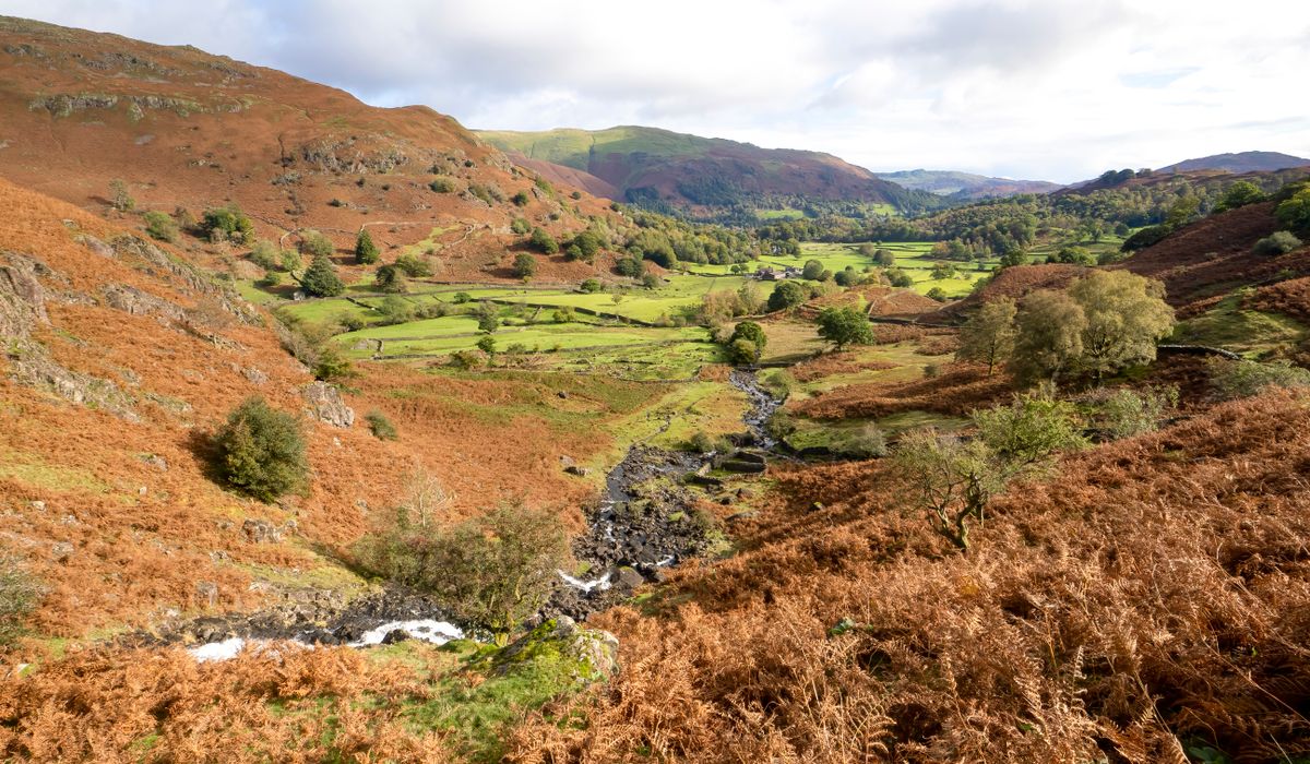 Sunnyfell